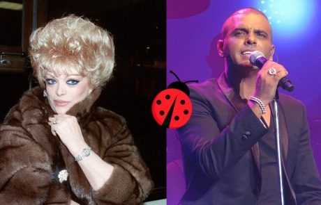 לידיעת הזמר אייל גולן – מי הייתה קוקסינל ומה עוד יש לך ללמוד ממנה
