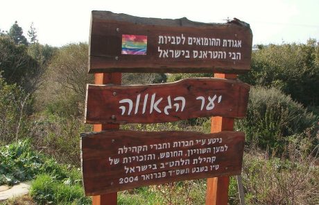 מכים שורש: היערות הגאים של ישראל